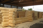 Kanadisches Blockhaus Brüggen Bild 10