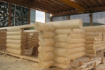 Kanadisches Blockhaus Brüggen Bild 7