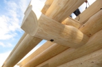 Kanadisches Blockhaus Lucka Bild 7