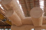 Naturstammhaus "Post and Beam" Fredersdorf Bild 1