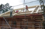 Naturstammblockhaus Wittingen Bild 3