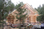Naturstammblockhaus Wittingen Bild 7