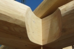 Naturstammfachwerkhaus in Dippoldiswalde Bild 6
