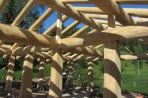 Naturstammfachwerkhaus in Dippoldiswalde Bild 8