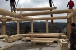 Naturstammfachwerkhaus Eisenach Bild 2