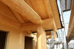 Naturstammfachwerkhaus Rügen Bild 22