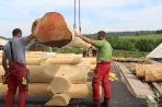 TIMBERJACKS News 17.05.2018 Bild 11