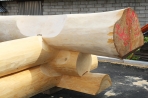 TIMBERJACKS News 17.05.2018 Bild 13