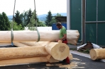 TIMBERJACKS News 17.05.2018 Bild 18