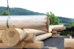 TIMBERJACKS News 17.05.2018 Bild 19