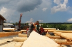 TIMBERJACKS News 31.05.2018 Bild 37 TIMBERJACKS News 31.05.2018 Bild 37