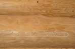 naturstammfachwerk-brotterode-1-19 naturstammfachwerk-brotterode-1-19