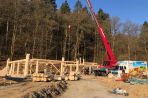 TIMBERJACKS SIEGEN | NEWS