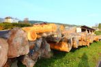 TIMBERJACKS SIEGEN | NEWS
