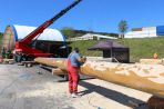 TIMBERJACKS SIEGEN | NEWS