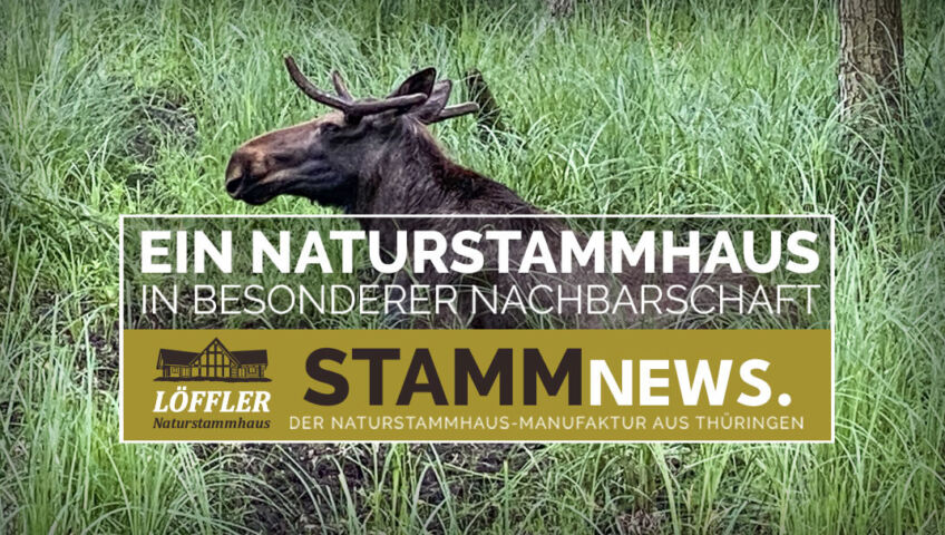 News Titelbild Naturstammhaus Löwenberger Land