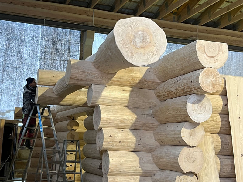 Fertigung Blockhaus Dittersbach