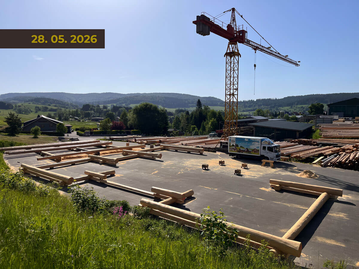 Zeitraffer Fertigung Timberjacks Bornheim