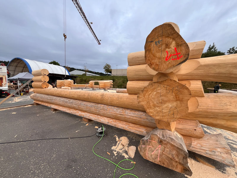 Fertigung Timberjacks Bornheim