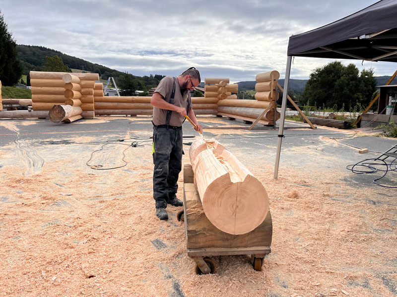 Fertigung Timberjacks Bornheim
