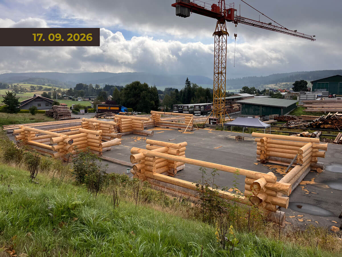 Zeitraffer Fertigung Timberjacks Bornheim