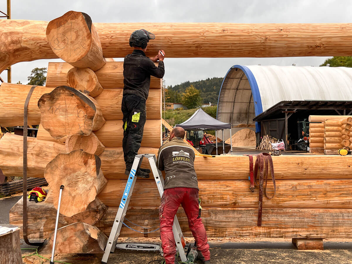 Fertigung Timberjacks Bornheim