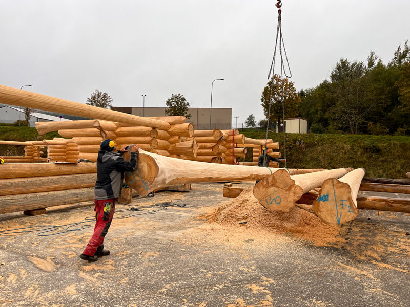 Fertigung Timberjacks Bornheim
